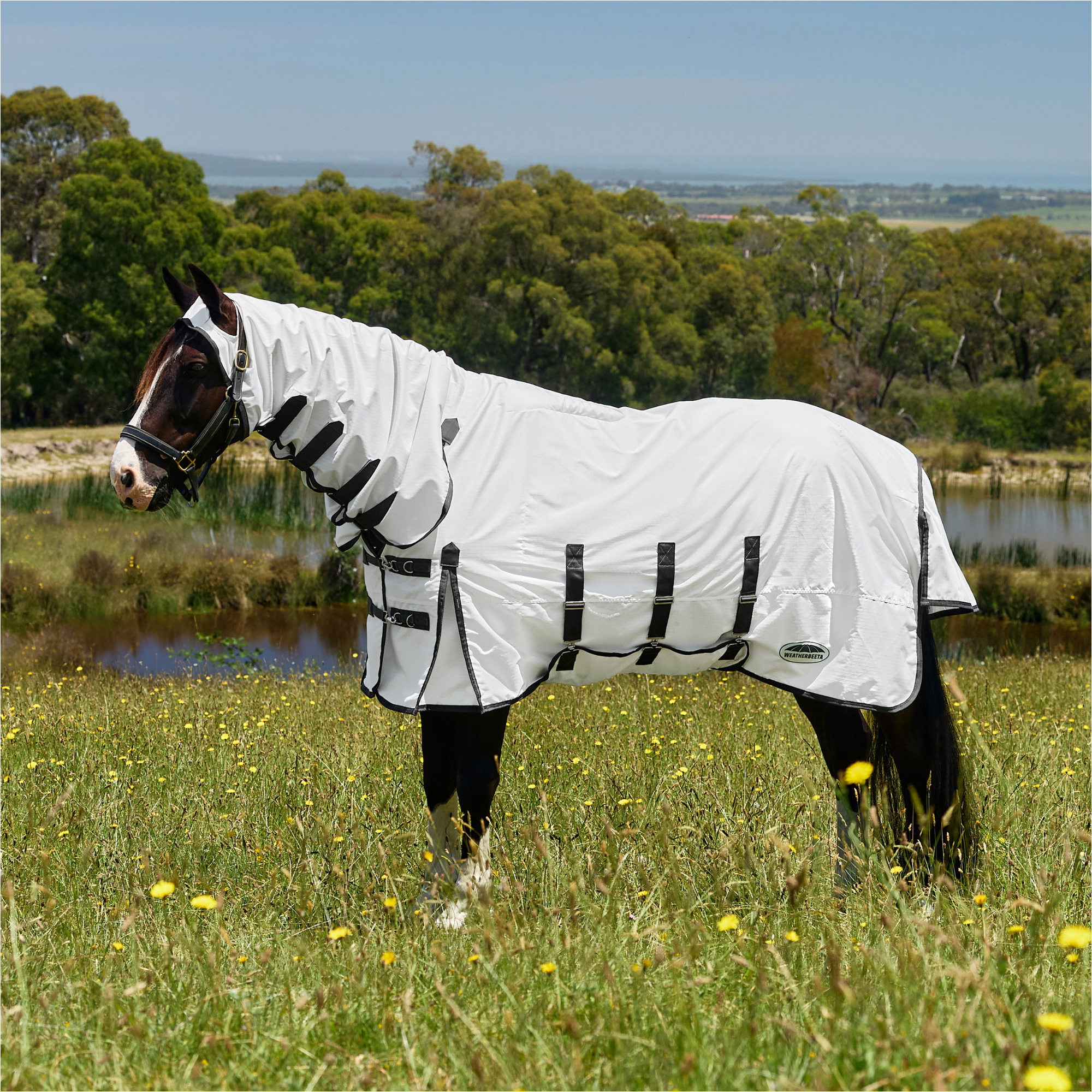 2026 WeatherBeeta Comfitec Süß Jucken Schild Fliegen Blatt Combo 1029972 - Weiß / Charcoal